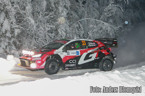 © Anders Blomqvist, Blommans Bilder.