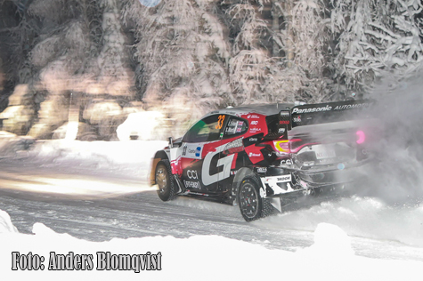 © Anders Blomqvist, Blommans Bilder.