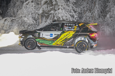 © Anders Blomqvist, Blommans Bilder.