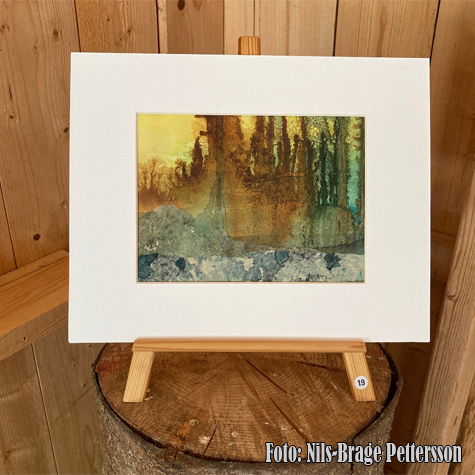 © Nils-Brage Pettersson.