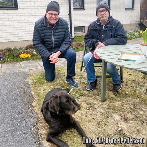 © Nils-Brage Pettersson