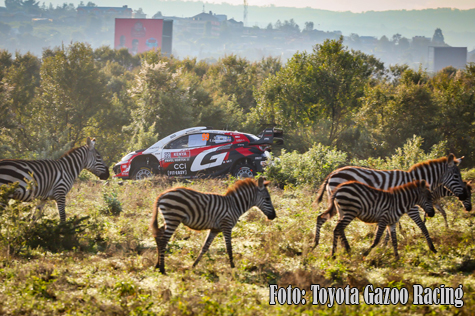 © Toyota Gazoo Racing.